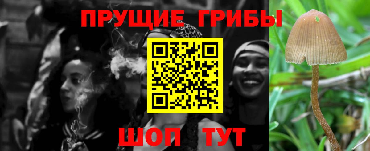 Усть-Илимск  Псилоцибиновые грибы Magic Shrooms  Вход с VPN  Псилоцибиновые грибы мицелий 